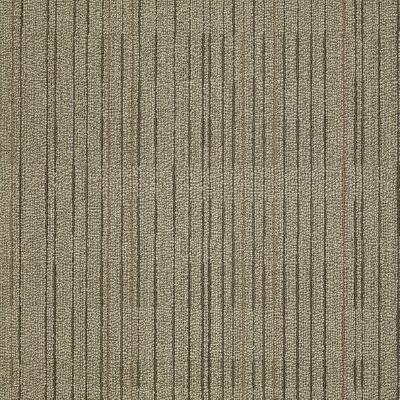 Shaw Carpet Tile Immerse Engross Shaw Shaw 