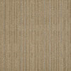Shaw Carpet Tile Immerse Intensify Shaw Shaw 