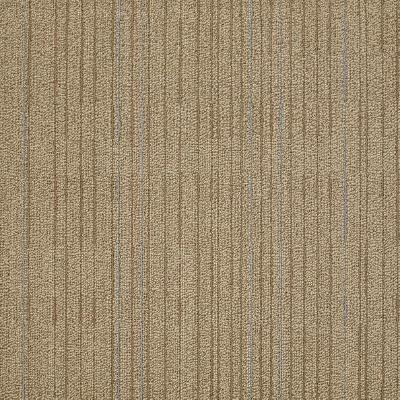 Shaw Carpet Tile Immerse Intensify