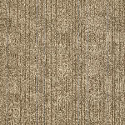 Shaw Carpet Tile Immerse Intensify Shaw Shaw 