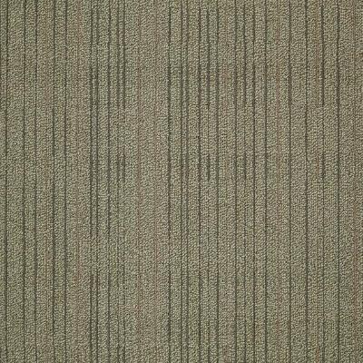 Shaw Carpet Tile Immerse Think Hard Shaw Shaw 
