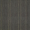 Shaw Carpet Tile Immerse Study Shaw Shaw 