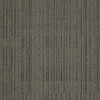 Shaw Carpet Tile Immerse Involve Shaw Shaw 