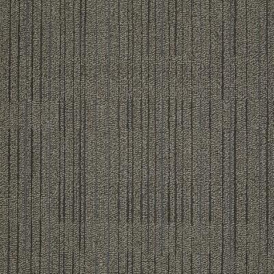 Shaw Carpet Tile Immerse Involve Shaw Shaw 