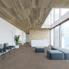 Metroflor Déjà New Smooth Concrete Dolomite Metroflor Metroflor 