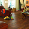 Mannington Adura Essential Acacia Tigers Eye Mannington Adura Mannington 