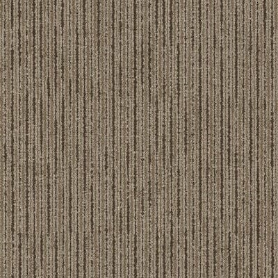 Shaw Carpet Tile Line by Line Minute Shaw Shaw 