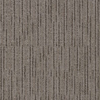 Shaw Carpet Tile Line by Line Peace Shaw Shaw 
