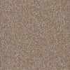 Shaw Carpet Tile Knot It Strand Shaw Shaw 