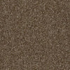 Shaw Carpet Tile Knot It Thread Shaw Shaw 