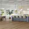 Mannington Adura Max Regency Oak Polished Platinum Mannington Mannington 