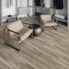 Congoleum ArmorCore Plank Oak Ridge French Gray