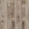 Paramount RigidCORE Bliss Dry Back Stampede Taupe Paramount Paramount 
