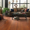 Shaw Coral Springs Burnside