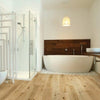 Casabella Coastal Hickory Sand Dollar Casabella Casabella 