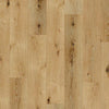 Casabella Coastal Hickory Sand Dollar Casabella Casabella 
