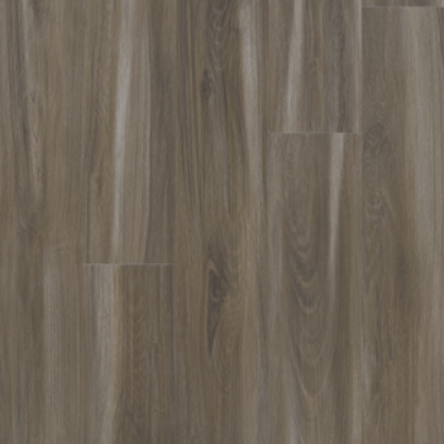 Mohawk SolidTech Select Explorers Cove ECS21-259 Raccoon Vinyl Plank 7