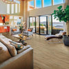 Congoleum Triversa Prime Applewood Tannin
