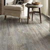 Shaw Anvil Plus Grey Chestnut Shaw Shaw 