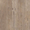 Shaw Anvil Plus 20 Accent Pine Shaw Shaw 