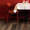 COREtec Pro Plus HD 9" Cheshire Elm COREtec COREtec 