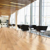 COREtec Pro Plus XL Enhanced Berlin Pine COREtec COREtec 