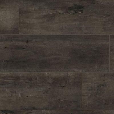 MSI Everlife XL Cyrus Billingham