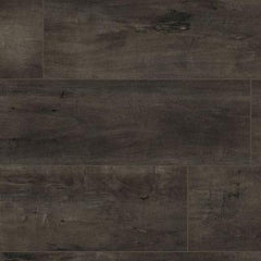 MSI Everlife XL Cyrus Billingham