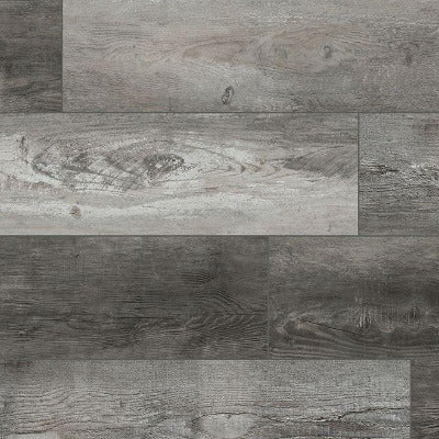 MSI Everlife XL Cyrus Boswell