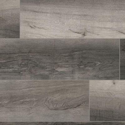 MSI Everlife XL Cyrus Bracken Hill