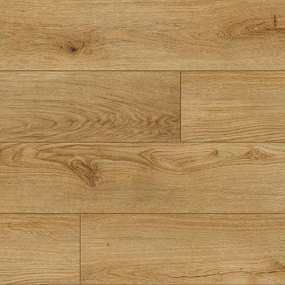 Paramount Bliss Dry Back Congaree (Hi Res) Sample