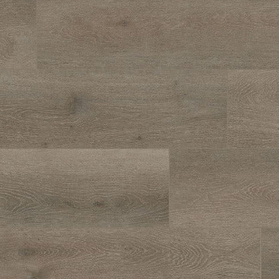 MSI Everlife XL Cyrus Cranton