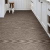 Shaw Carpet Tile Line by Line Hour Shaw Shaw 