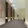 Shaw Carpet Tile Line by Line Peace Shaw Shaw 