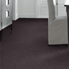 Shaw Carpet Tile Knot It Fringe Shaw Shaw 