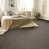 Shaw Carpet Tile Knot It Trim Shaw Shaw 