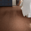Shaw Carpet Tile Knot It Twist Shaw Shaw 