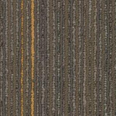 Shaw Carpet Tile Stellar Formative