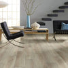 Shaw Distinction Plus French Oak