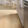 Shaw Yukon Maple 5" Gold Dust Shaw Shaw 