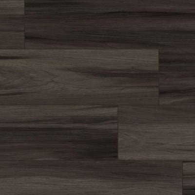 MSI Everlife XL Cyrus Jenta