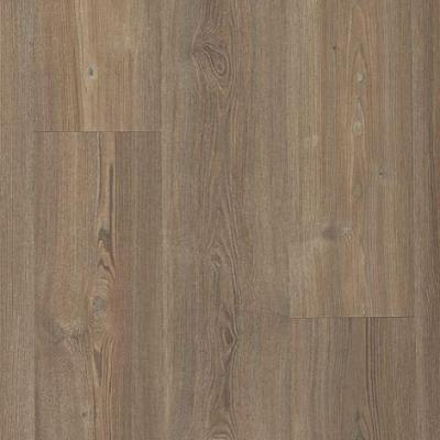 Mohawk Dodford 20 Dry Back Mochocino Pine