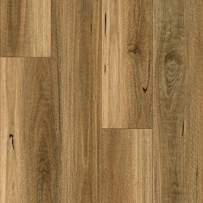 Paramount Bliss Dry Back Spanish Lookout (Hi Res) Sample