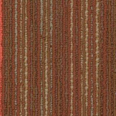 Shaw Carpet Tile Stellar Vivid