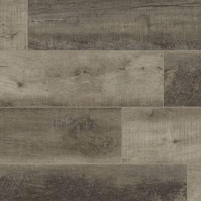 MSI Everlife XL Cyrus Wolfeboro