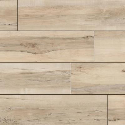 MSI Everlife XL Cyrus Akadia