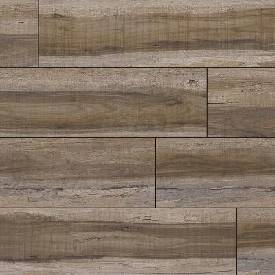 MSI Everlife XL Cyrus Exotika