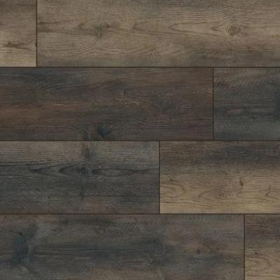 MSI Everlife XL Cyrus Stable