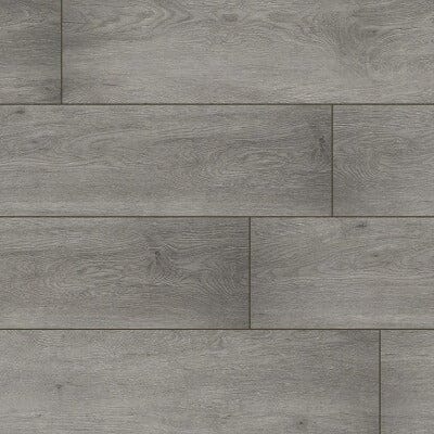 MSI Everlife XL Cyrus Grayton MSI MSI 